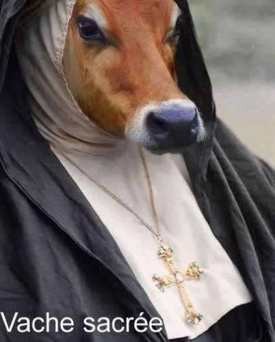 cheikh